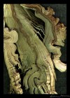 Art Photo 11