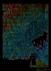 Art Photo 12