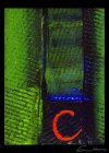 Peinture Huile 8