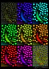 Art Photo 7